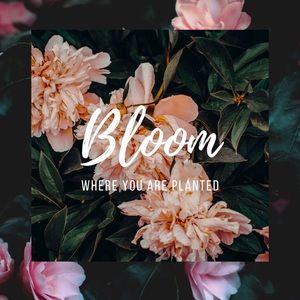 Thrive where you are!